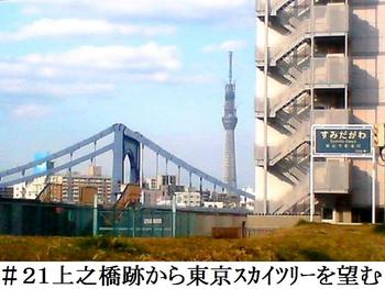 #21上之橋跡から東京ｽｶｲﾂﾘｰを望む.jpg