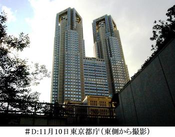 #D11月10日都庁（東側から撮影）.jpg